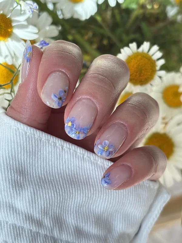 CND Shellac